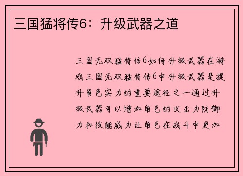 三国猛将传6：升级武器之道