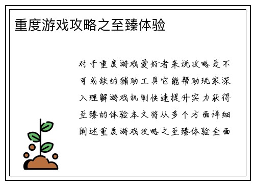 重度游戏攻略之至臻体验